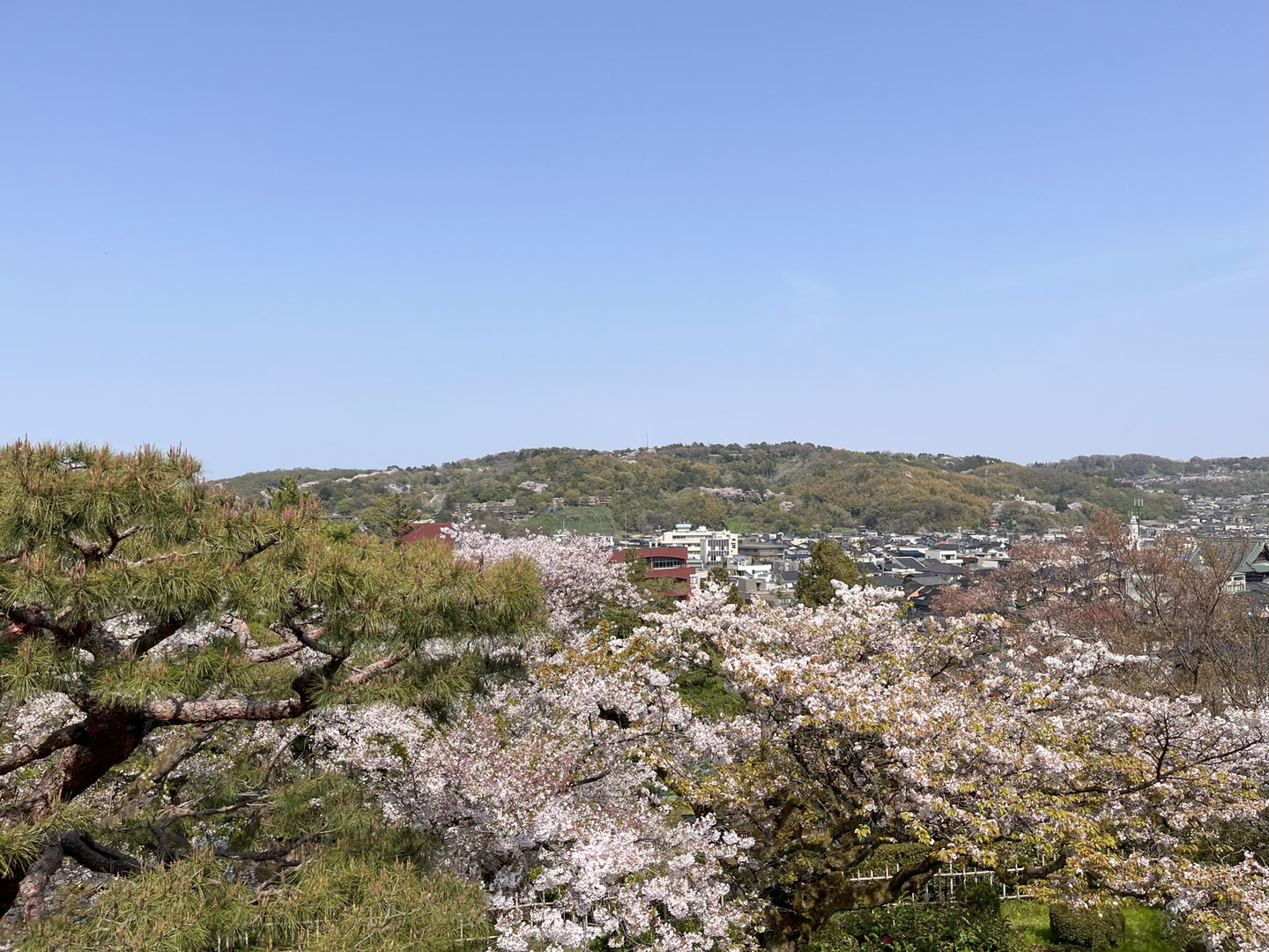 兼六園