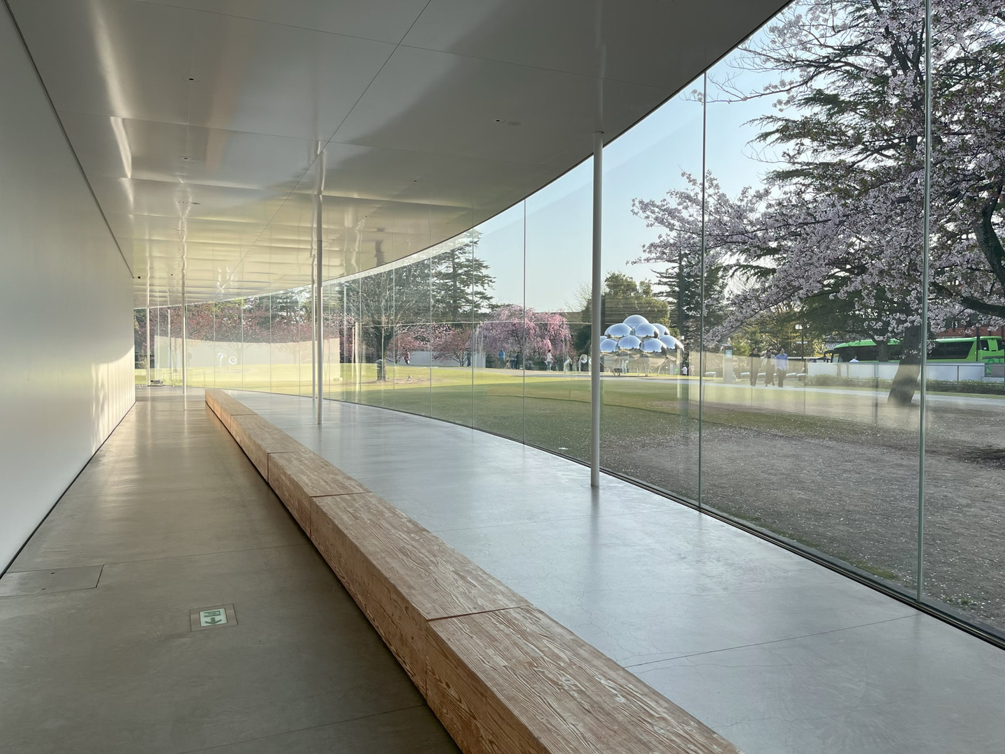 Cupertino
